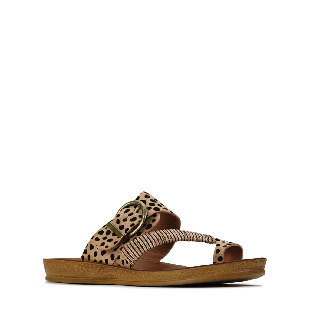 Los Cabos - Bria // Cheetah // Khaki