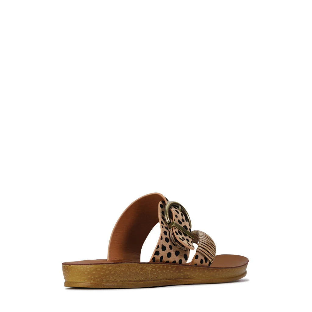 Los Cabos - Bria // Cheetah // Khaki