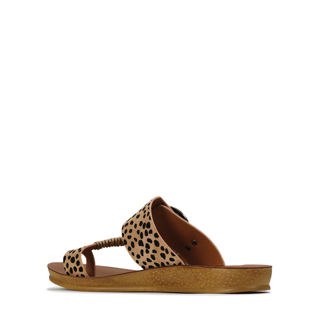 Los Cabos - Bria // Cheetah // Khaki