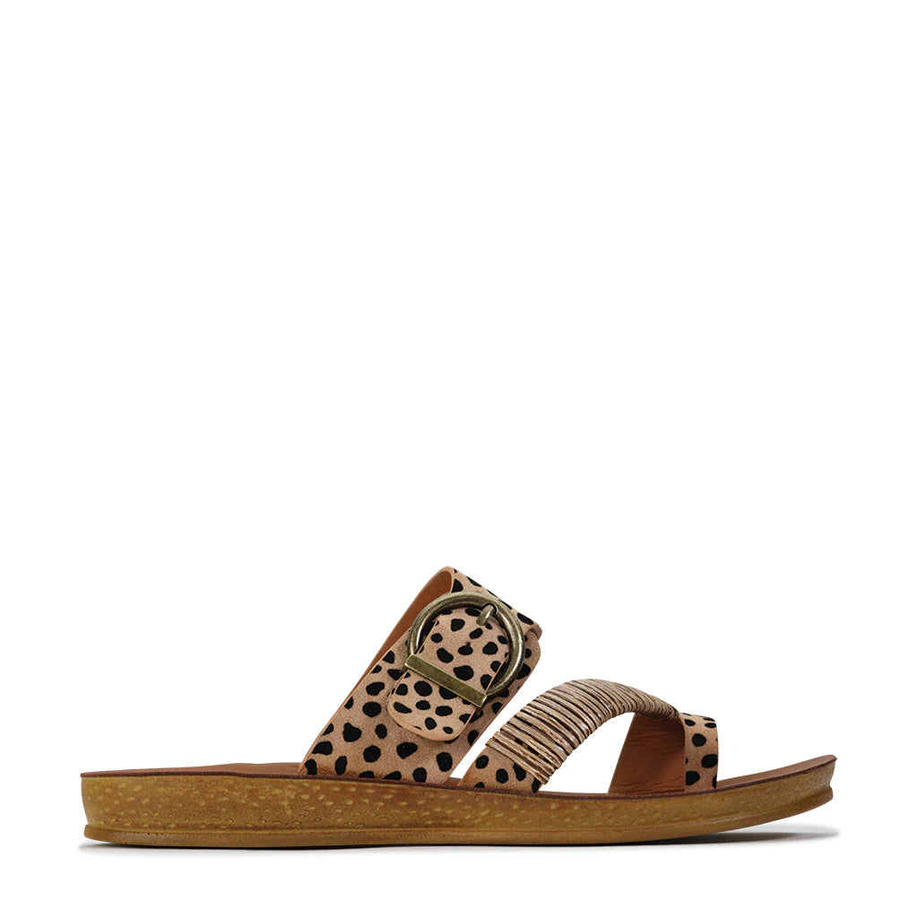 Los Cabos - Bria // Cheetah // Khaki