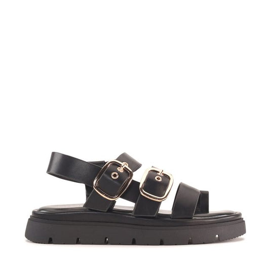 Los Cabos - Tolise // Black