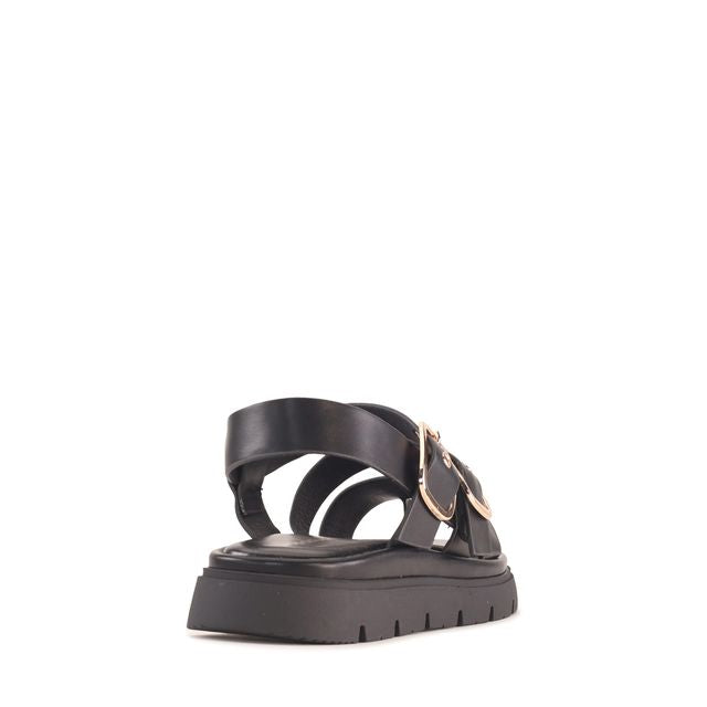 Los Cabos - Tolise // Black