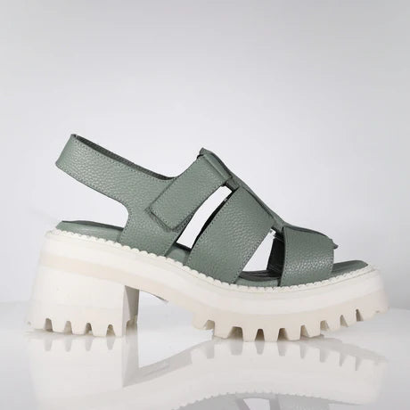 Minx - Sire // Sage Milled