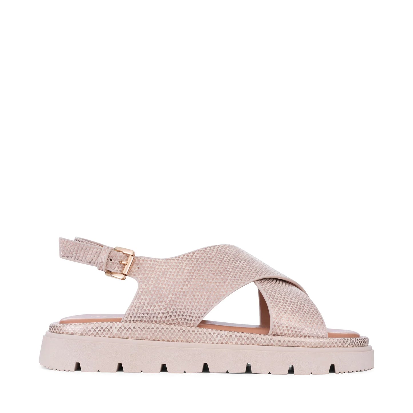 Los Cabos - Tolis // Beige Lizard