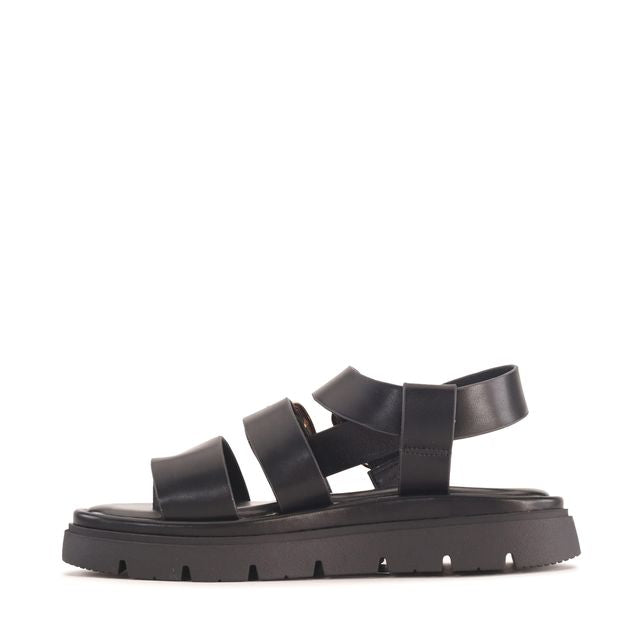 Los Cabos - Tolise // Black